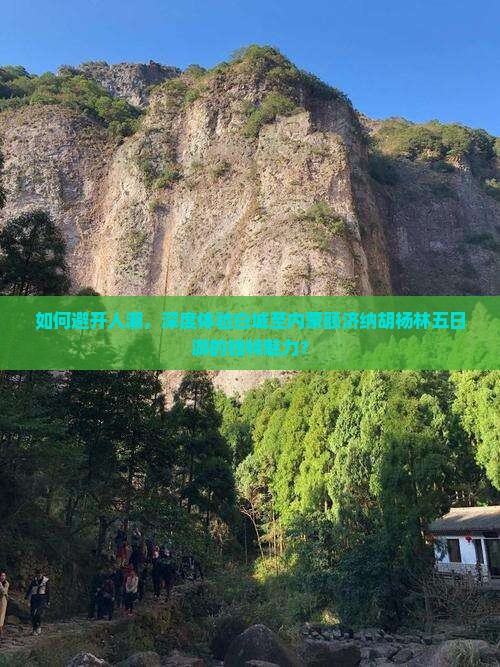 如何避开人潮，深度体验白城至内蒙额济纳胡杨林五日游的独特魅力？