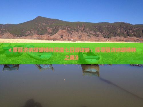 ≮蒙额济纳旗胡杨林深度七日游攻略：探寻额济纳胡杨林之美》