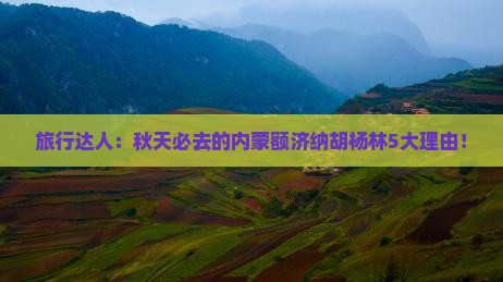 旅行达人：秋天必去的内蒙额济纳胡杨林5大理由！