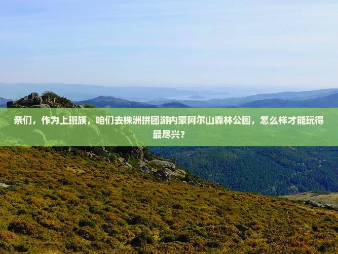 亲们，作为上班族，咱们去株洲拼团游内蒙阿尔山森林公园，怎么样才能玩得最尽兴？