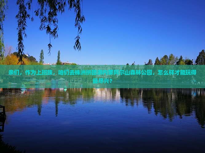 亲们，作为上班族，咱们去株洲拼团游内蒙阿尔山森林公园，怎么样才能玩得最尽兴？