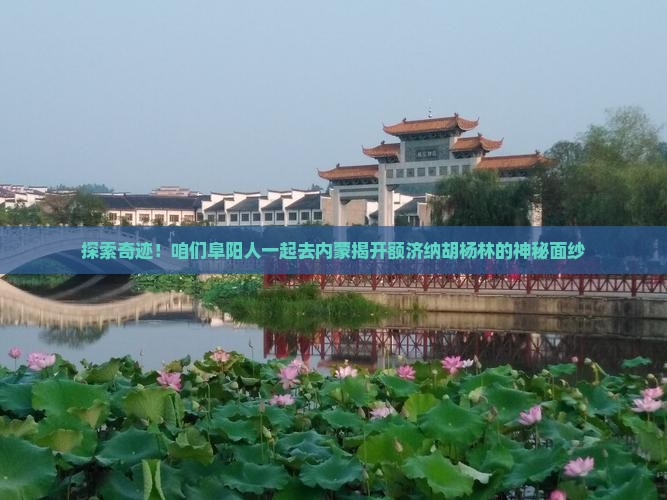 探索奇迹！咱们阜阳人一起去内蒙揭开额济纳胡杨林的神秘面纱
