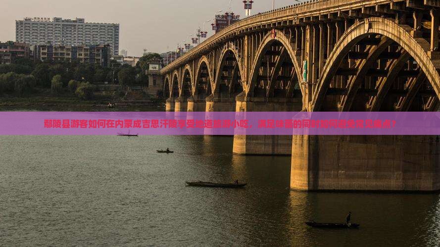鄢陵县游客如何在内蒙成吉思汗陵享受地道旅游小吃，满足味蕾的同时如何避免常见痛点？