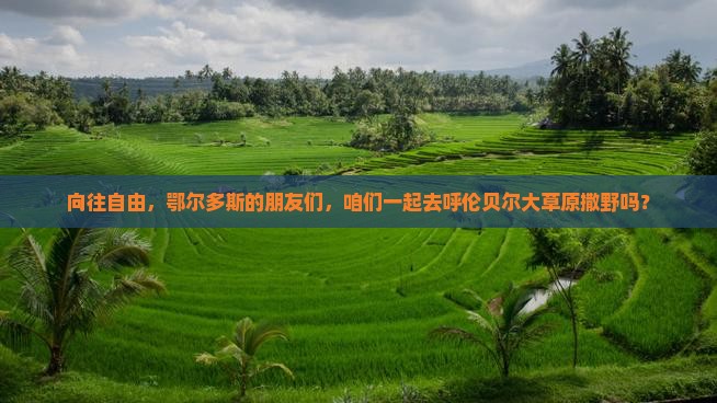 向往自由，鄂尔多斯的朋友们，咱们一起去呼伦贝尔大草原撒野吗？