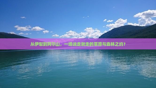 从伊犁到阿尔山，一场说走就走的草原与森林之约？