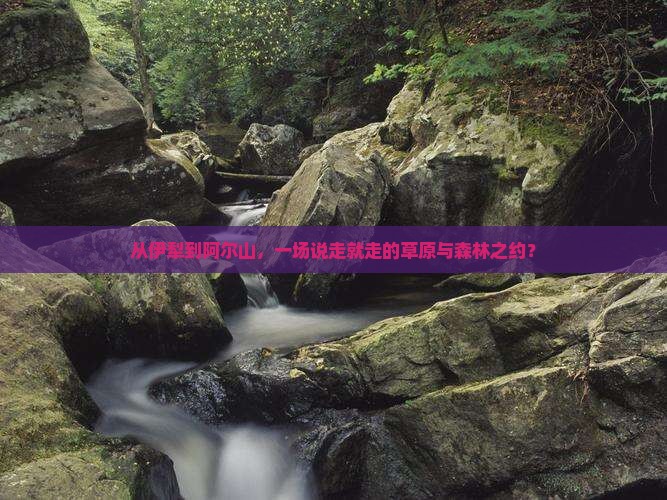 从伊犁到阿尔山，一场说走就走的草原与森林之约？