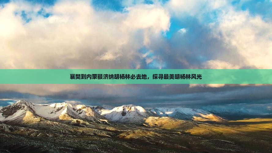襄樊到内蒙额济纳胡杨林必去地，探寻最美胡杨林风光