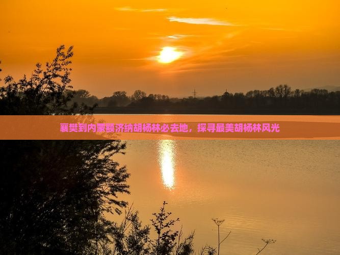襄樊到内蒙额济纳胡杨林必去地，探寻最美胡杨林风光