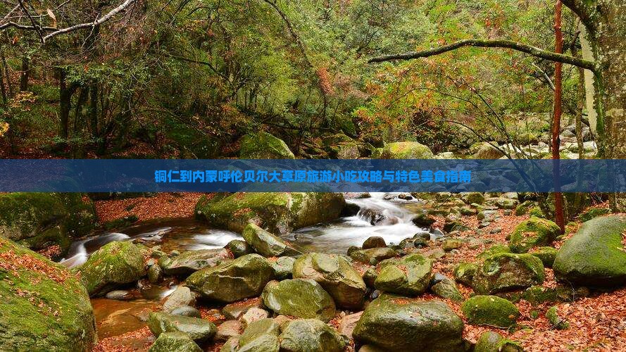 铜仁到内蒙呼伦贝尔大草原旅游小吃攻略与特色美食指南