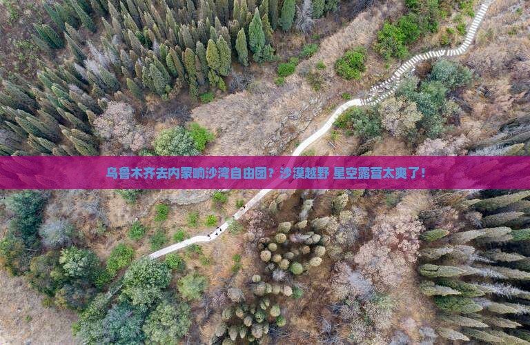 乌鲁木齐去内蒙响沙湾自由团？沙漠越野+星空露营太爽了！