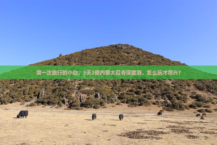 第一次旅行的小白，3天2夜内蒙大召寺深度游，怎么玩才尽兴？