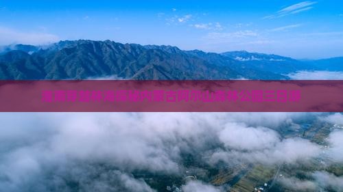 淮南穿越林海探秘内蒙古阿尔山森林公园三日游