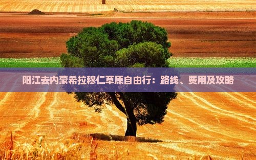 阳江去内蒙希拉穆仁草原自由行：路线、费用及攻略