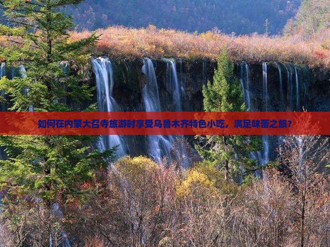 如何在内蒙大召寺旅游时享受乌鲁木齐特色小吃，满足味蕾之旅？