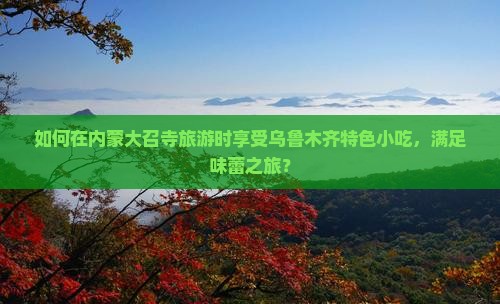 如何在内蒙大召寺旅游时享受乌鲁木齐特色小吃，满足味蕾之旅？