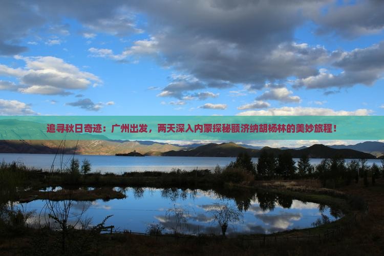 追寻秋日奇迹：广州出发，两天深入内蒙探秘额济纳胡杨林的美妙旅程！