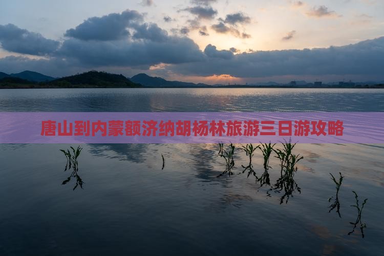 唐山到内蒙额济纳胡杨林旅游三日游攻略