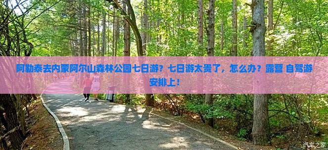 阿勒泰去内蒙阿尔山森林公园七日游？七日游太贵了，怎么办？露营+自驾游安排上！