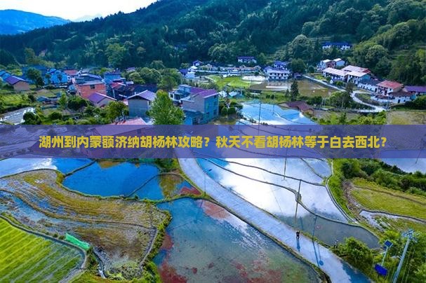 湖州到内蒙额济纳胡杨林攻略？秋天不看胡杨林等于白去西北？