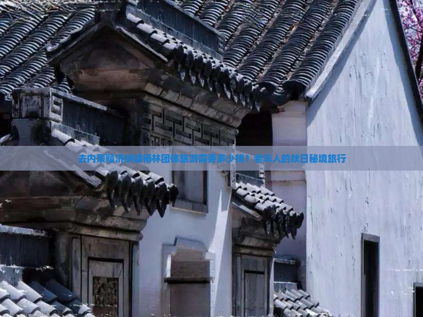 去内蒙额济纳胡杨林团体旅游需要多少钱？老年人的秋日秘境旅行