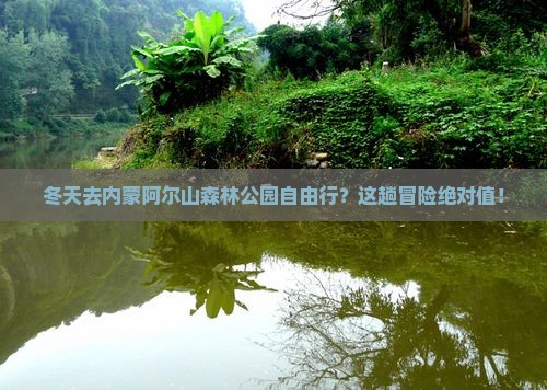 冬天去内蒙阿尔山森林公园自由行？这趟冒险绝对值！