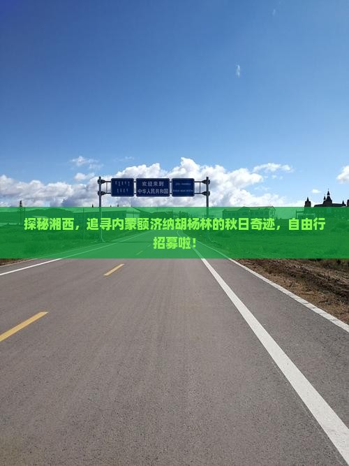 探秘湘西，追寻内蒙额济纳胡杨林的秋日奇迹，自由行招募啦！