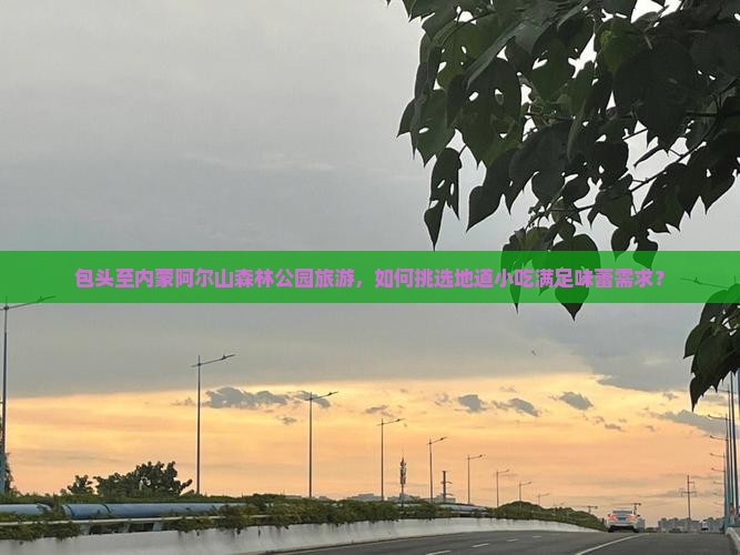 包头至内蒙阿尔山森林公园旅游，如何挑选地道小吃满足味蕾需求？