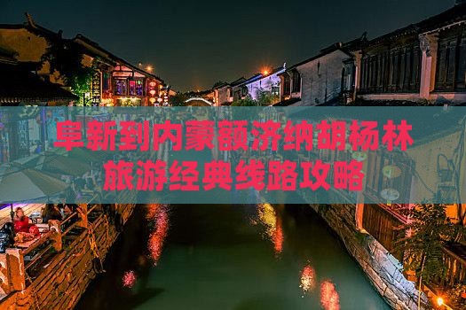 阜新到内蒙额济纳胡杨林旅游经典线路攻略