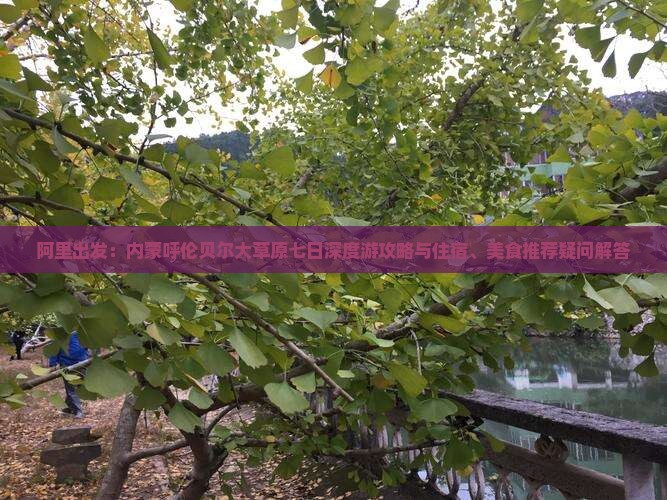 阿里出发：内蒙呼伦贝尔大草原七日深度游攻略与住宿、美食推荐疑问解答