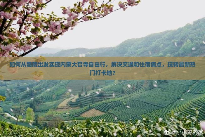 如何从醴陵出发实现内蒙大召寺自由行，解决交通和住宿痛点，玩转最新热门打卡地？