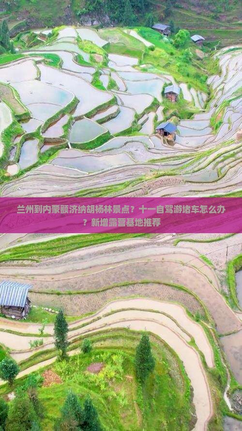 兰州到内蒙额济纳胡杨林景点？十一自驾游堵车怎么办？新增露营基地推荐