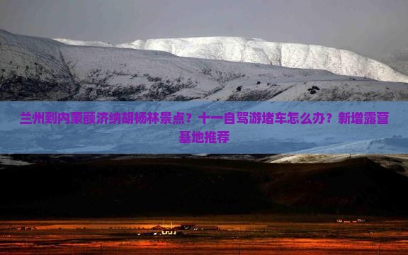 兰州到内蒙额济纳胡杨林景点？十一自驾游堵车怎么办？新增露营基地推荐