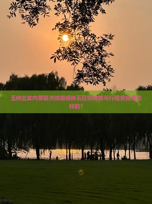 玉树出发内蒙额济纳胡杨林五日游攻略与行程安排是怎样的？