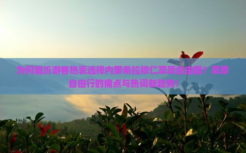 为何临沂游客热衷选择内蒙希拉穆仁草原自由团？草原自由行的痛点与热词新趋势！