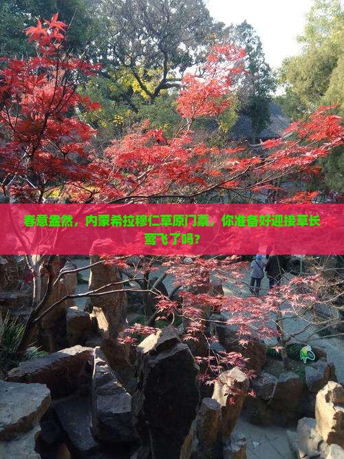 春意盎然，内蒙希拉穆仁草原门票，你准备好迎接草长莺飞了吗？