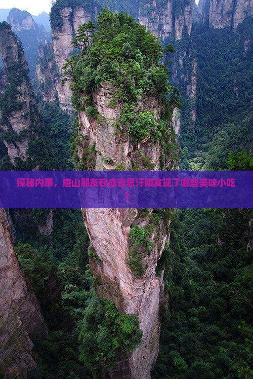 探秘内蒙，唐山朋友在成吉思汗陵发现了哪些美味小吃？