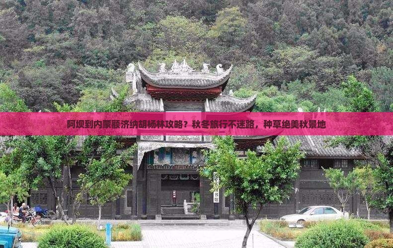 阿坝到内蒙额济纳胡杨林攻略？秋冬旅行不迷路，种草绝美秋景地