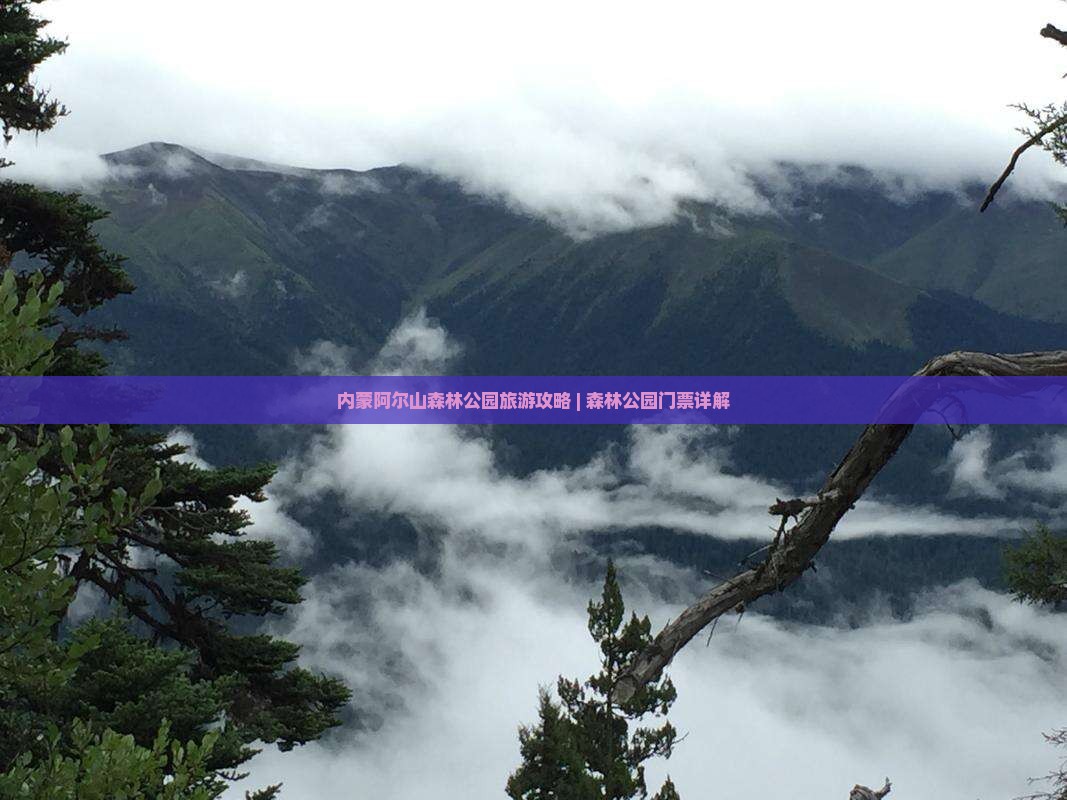 内蒙阿尔山森林公园旅游攻略 | 森林公园门票详解