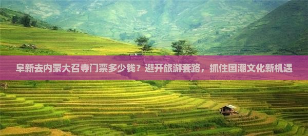 阜新去内蒙大召寺门票多少钱？避开旅游套路，抓住国潮文化新机遇