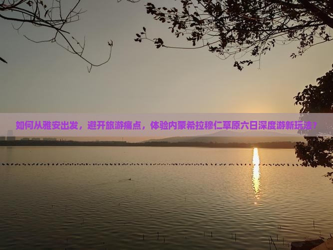 如何从雅安出发，避开旅游痛点，体验内蒙希拉穆仁草原六日深度游新玩法？