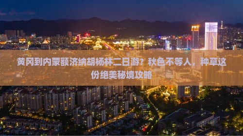 黄冈到内蒙额济纳胡杨林二日游？秋色不等人，种草这份绝美秘境攻略
