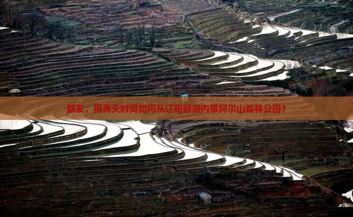 朋友，用两天时间如何从辽阳畅游内蒙阿尔山森林公园？