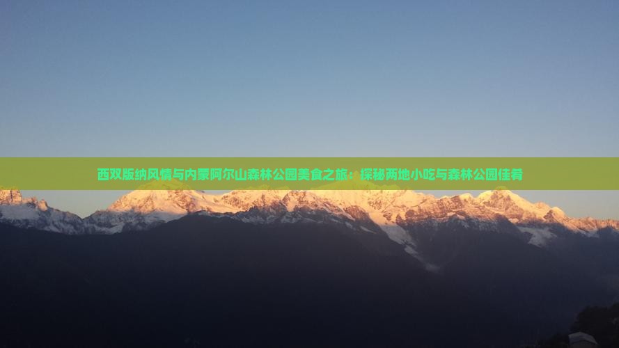 西双版纳风情与内蒙阿尔山森林公园美食之旅：探秘两地小吃与森林公园佳肴