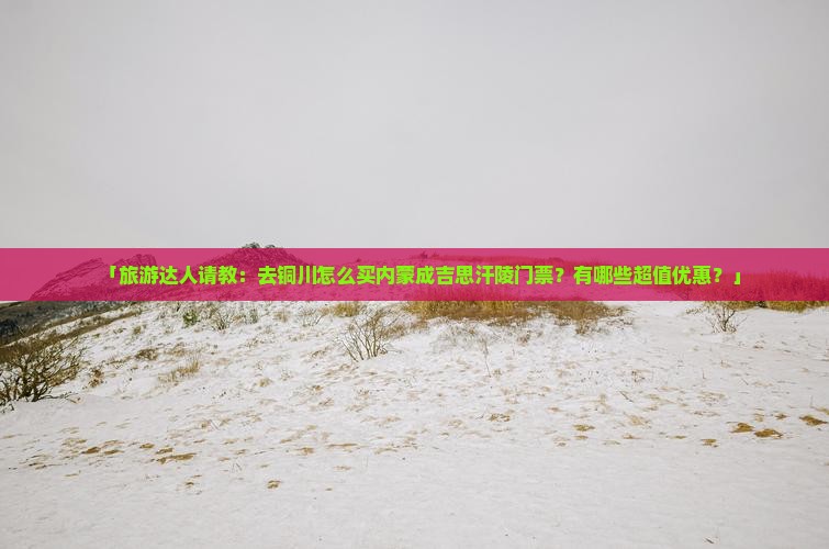 「旅游达人请教：去铜川怎么买内蒙成吉思汗陵门票？有哪些超值优惠？」