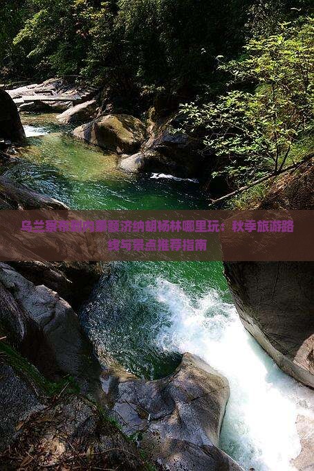 乌兰察布到内蒙额济纳胡杨林哪里玩:秋季旅游路线与景点推荐指南 乌兰察布到内蒙额济纳胡杨林哪里玩:秋季旅游路线与景点推荐指南