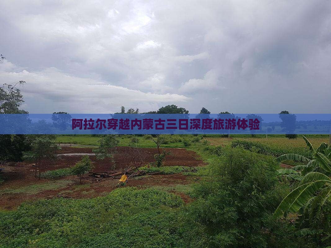 阿拉尔穿越内蒙古三日深度旅游体验 阿拉尔穿越内蒙古三日深度旅游体验