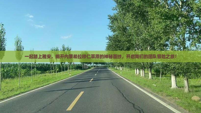 一起踏上雅安,揭开内蒙希拉穆仁草原的神秘面纱,开启我们的团队冒险之旅! 一起踏上雅安,揭开内蒙希拉穆仁草原的神秘面纱,开启我们的团队冒险之旅!