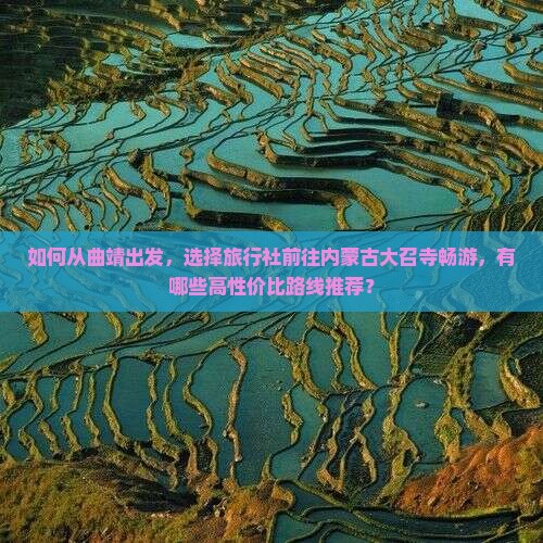 如何从曲靖出发，选择旅行社前往内蒙古大召寺畅游，有哪些高性价比路线推荐？