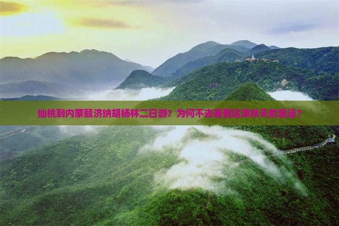 仙桃到内蒙额济纳胡杨林二日游？为何不去看看这波秋天的童话？