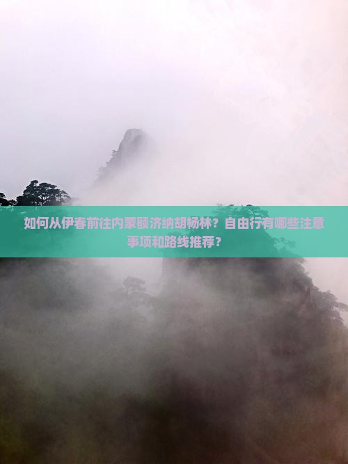 如何从伊春前往内蒙额济纳胡杨林？自由行有哪些注意事项和路线推荐？